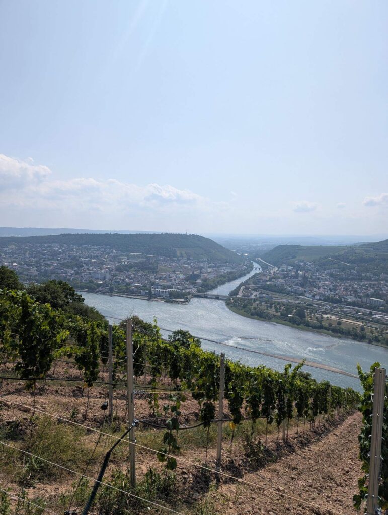 Rüdesheim Ausblick