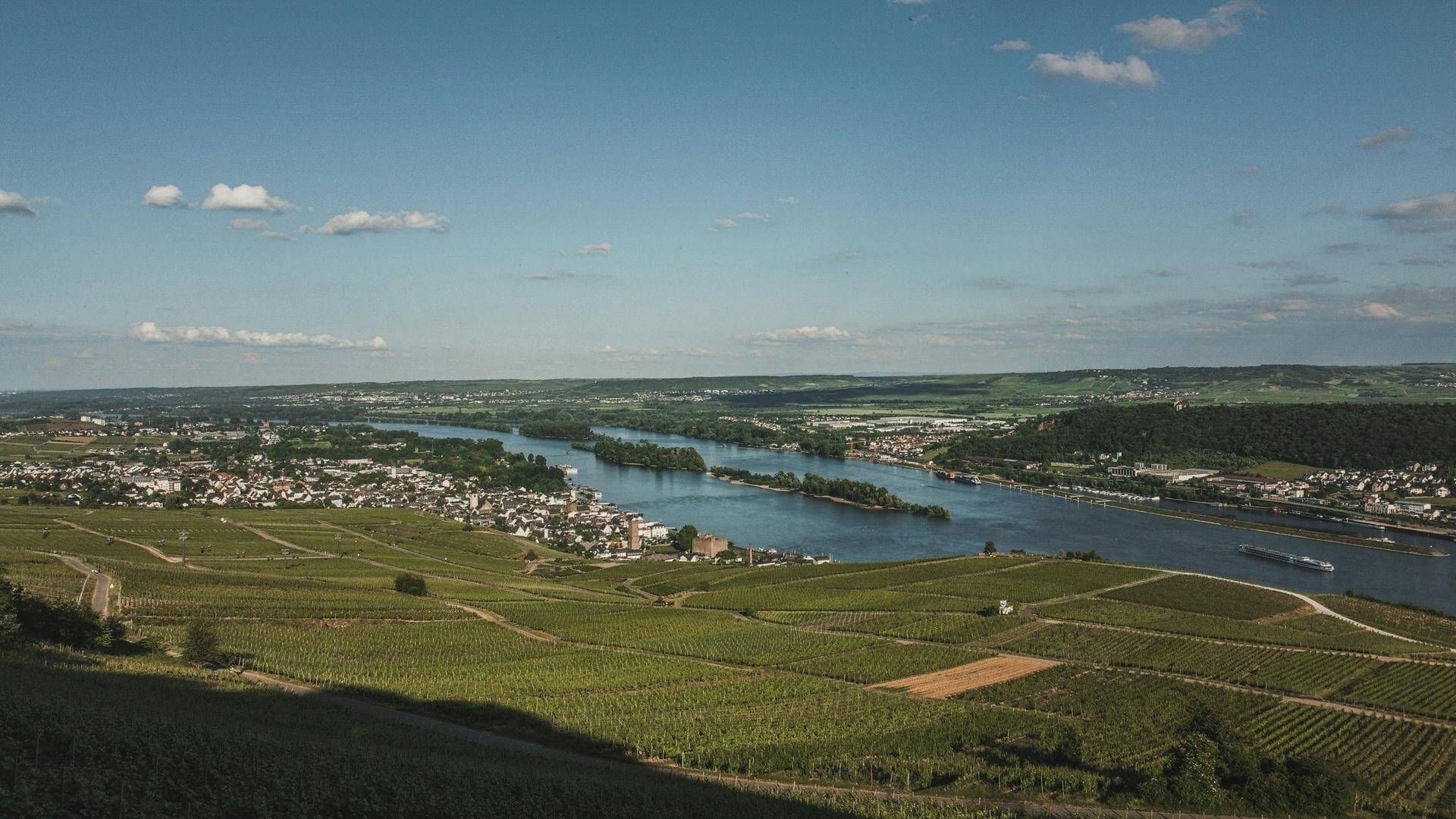 Rüdesheim am Rhein